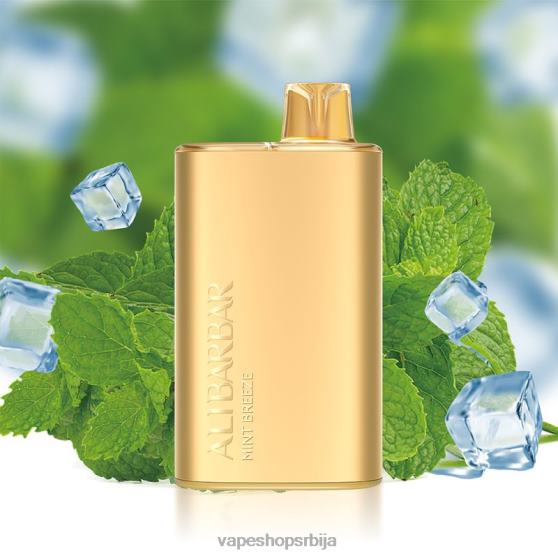 Alibarbar Rich 8000 вапе за једнократну употребу мента поветарац 04XTR8 - Vape Bez Nikotina